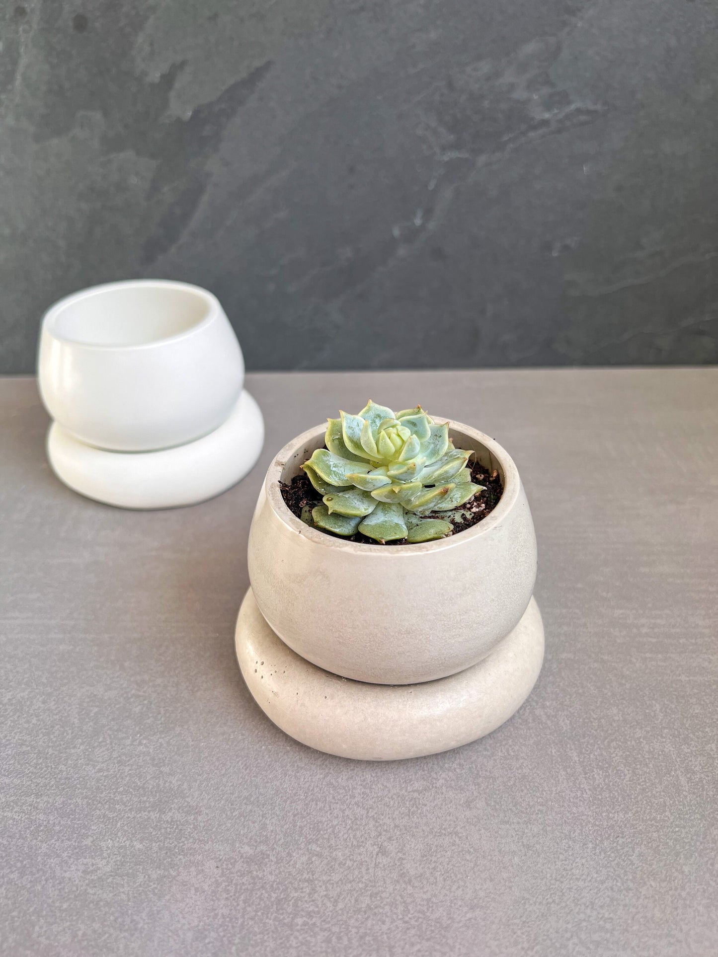 Small Concrete Planter with Drainage, Cute Plant Pot, Bubble Planter, Succulent Planter, Decorative Pot, Modern Pot, Nordic, Chubby Pot