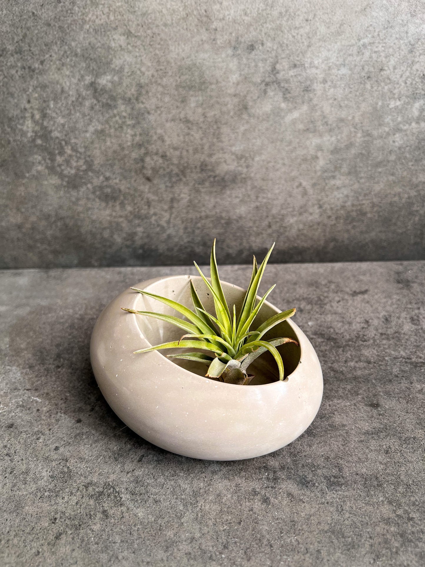 Concrete Minimalist Planter, Slanted Pot, Table Centerpiece, Asymmetrical Pot, Succulent Planter, Decorative Pot, Modern Pot, Nordic, Pebble