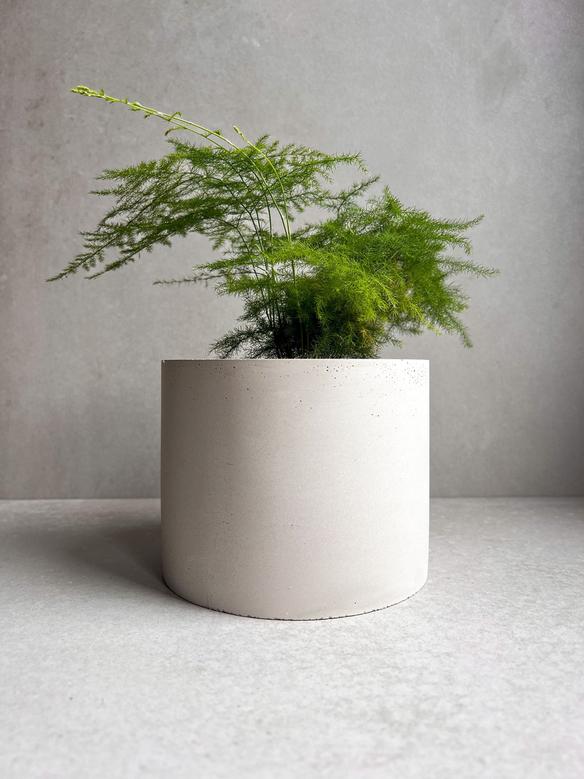 CONCRETE PLANTER with Drainage, Simple Plant Pot, Round Planter, Decorative Cement Pot, Minimalist Pot with Saucer, Nordic, Medium Planter