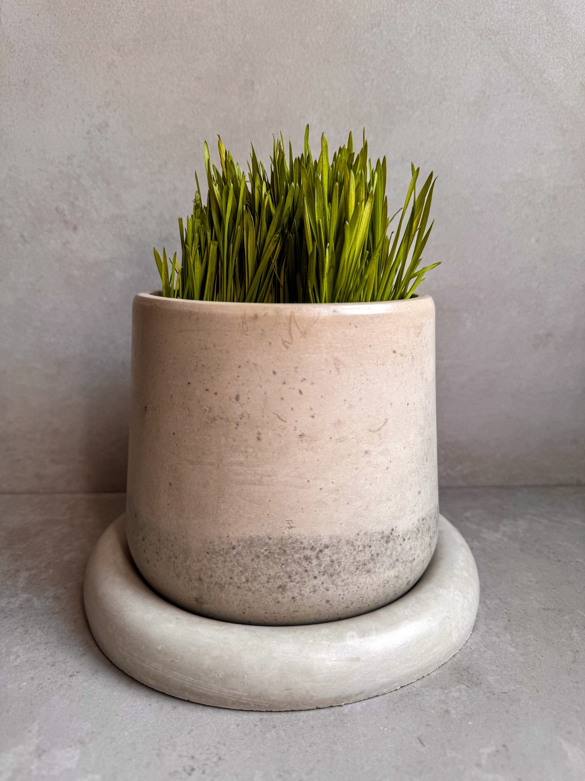 Concrete Planter with Saucer, Modern Plant Pot, Bubble Planter, Decorative Cement Pot, Minimalist Pot with Drainage, Nordic Pot, Chunky Pot