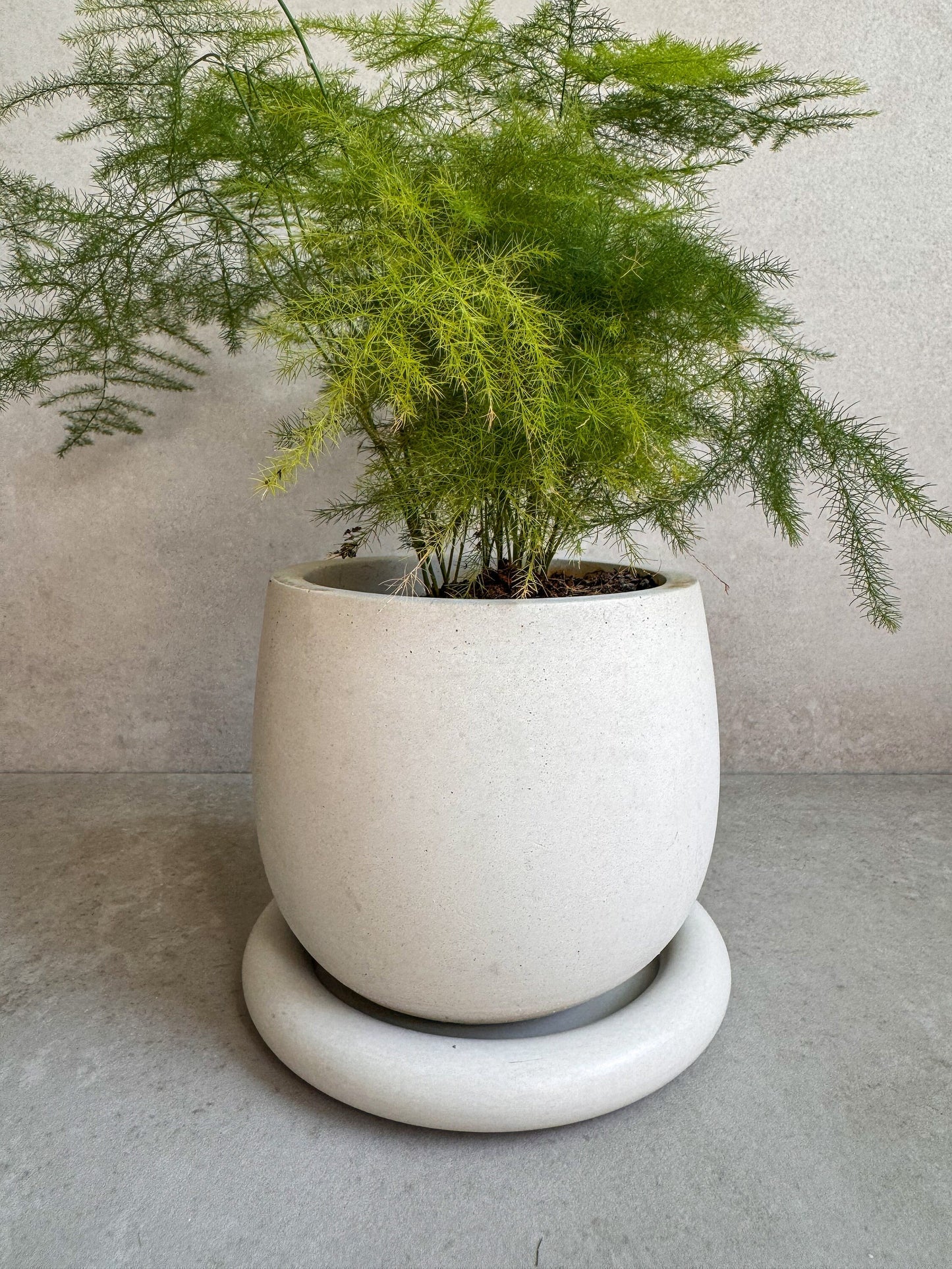 Concrete Planter with Drainage, Cute Plant Pot, Bubble Planter, Decorative Cement Pot, Minimalist Pot with Saucer, Nordic, Chunky Pot