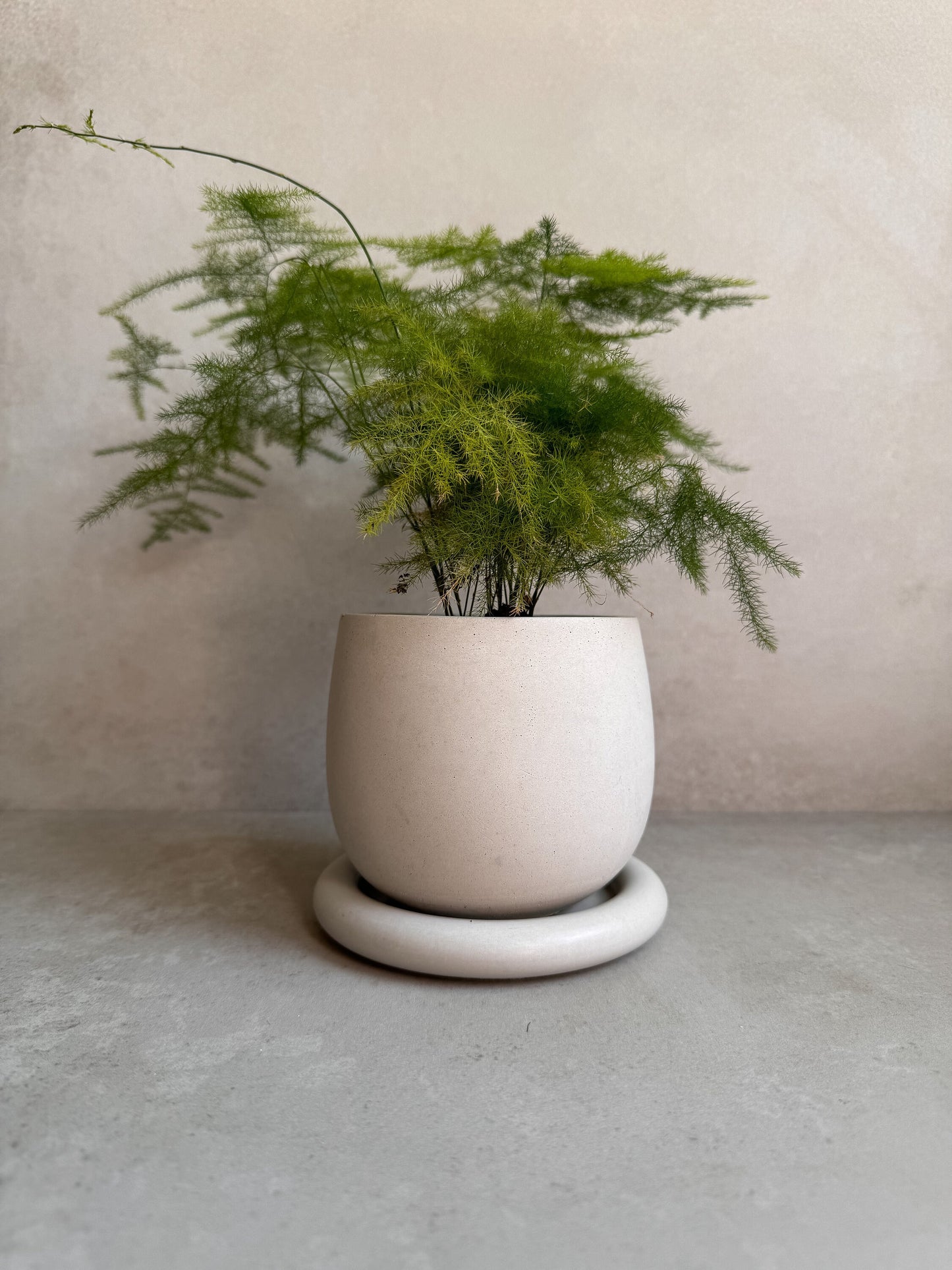 Concrete Planter with Drainage, Cute Plant Pot, Bubble Planter, Decorative Cement Pot, Minimalist Pot with Saucer, Nordic, Chunky Pot