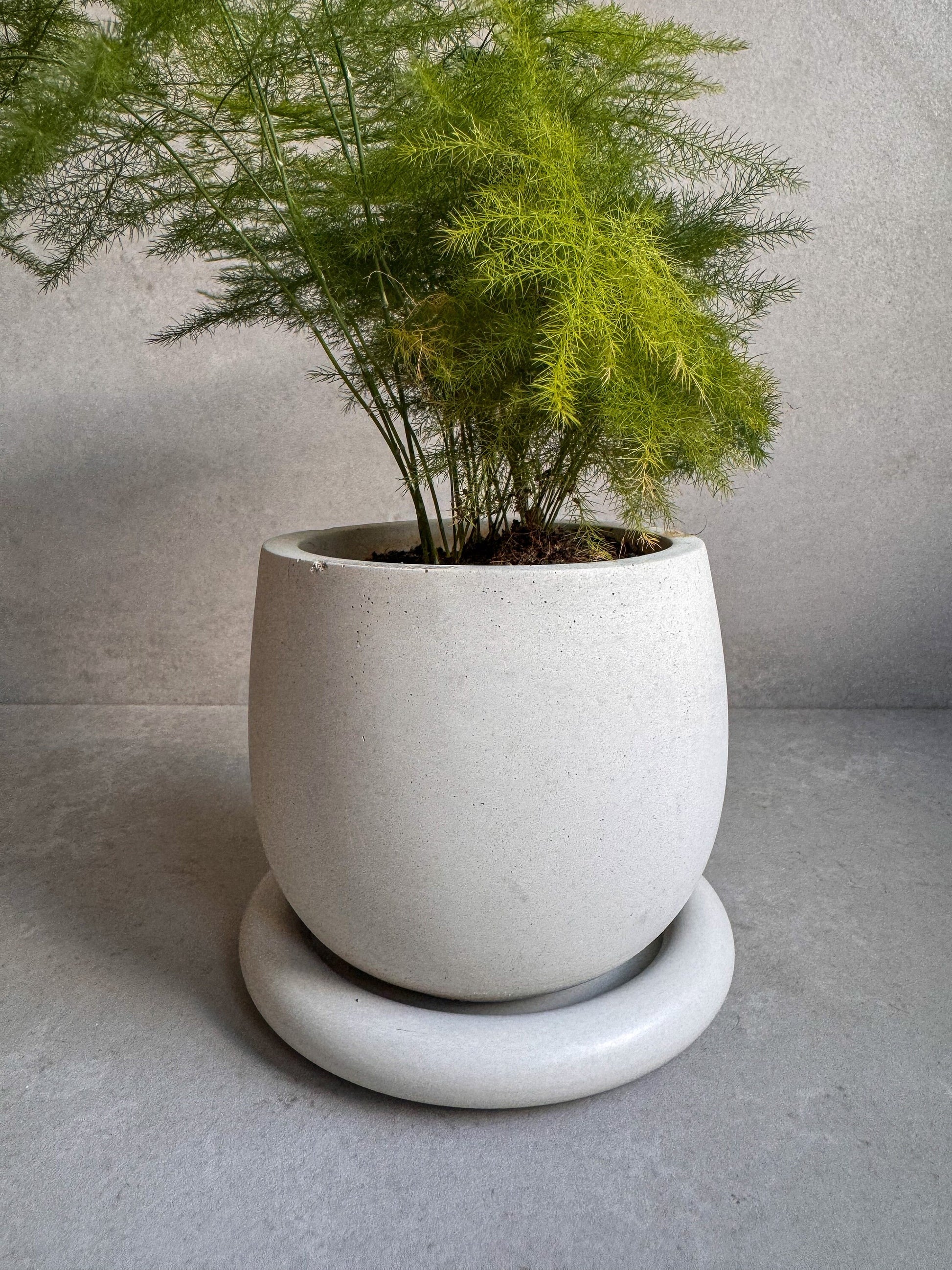 Concrete Planter with Drainage, Cute Plant Pot, Bubble Planter, Decorative Cement Pot, Minimalist Pot with Saucer, Nordic, Chunky Pot