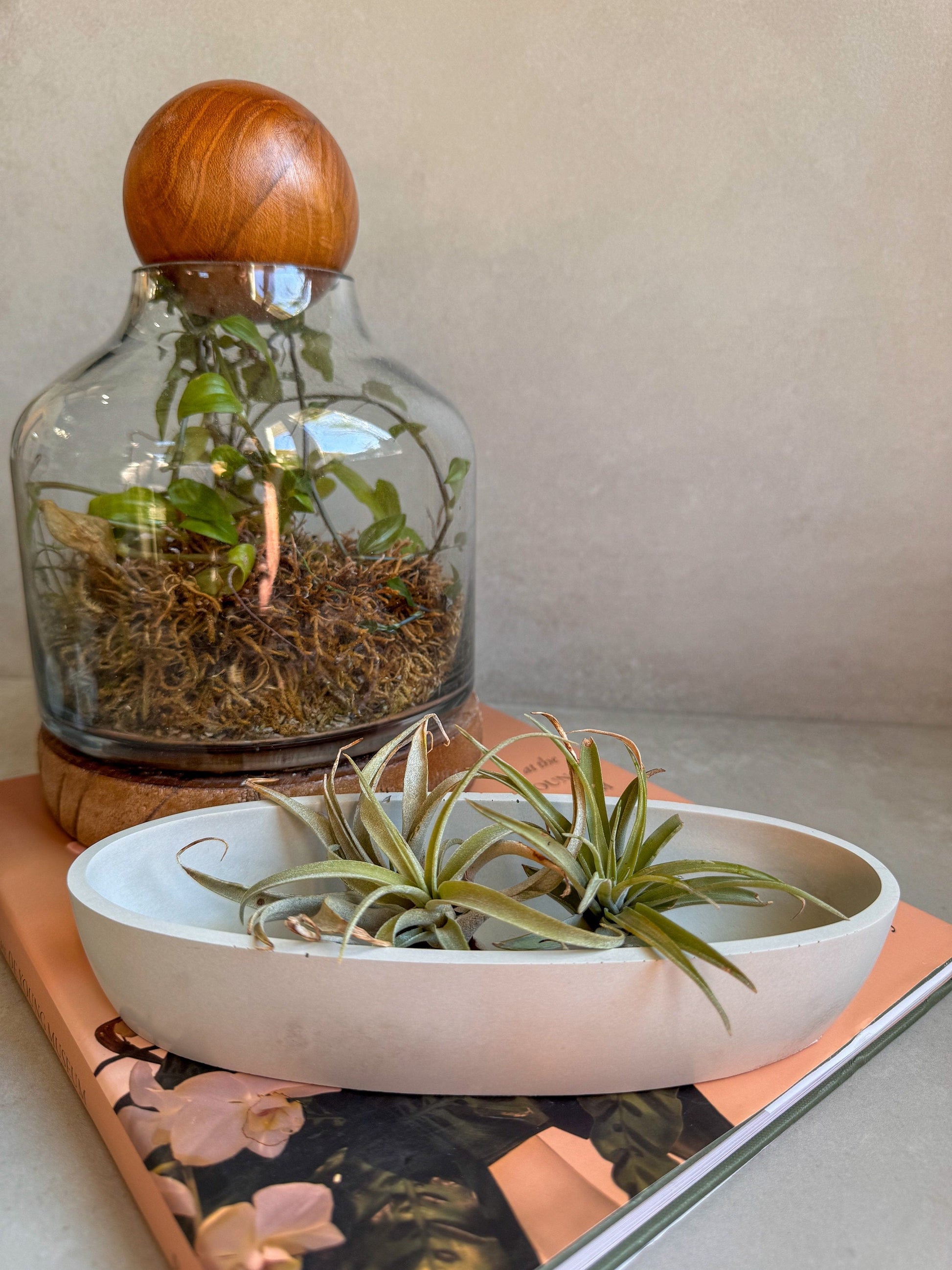 Oval Concrete Tray, Decorative Boat Tray, Trinket Trough, Minimalist Cement Tray, Coffee Table Display, Jewlery Dish, Bathroom Tray