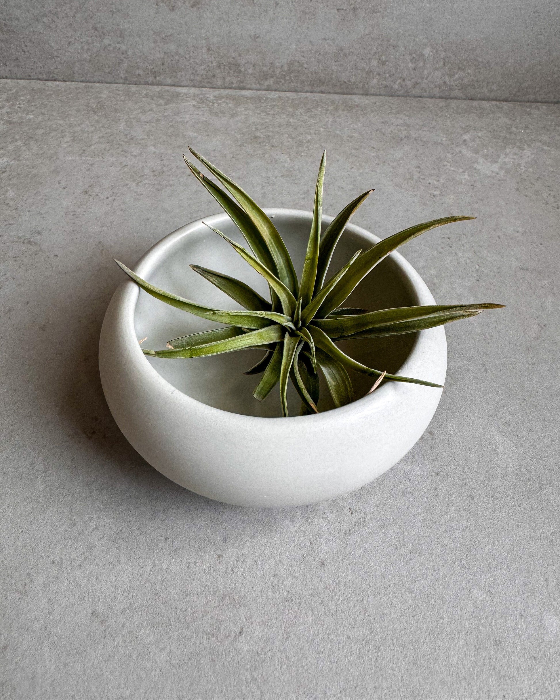 Concrete Bowl Small, Minimalist Bowl, Concrete Decor, Catchall Bowl, Cement Bowl, Jewelry Holder, Trinket Dish, Decorative Bowl, Ring Dishes