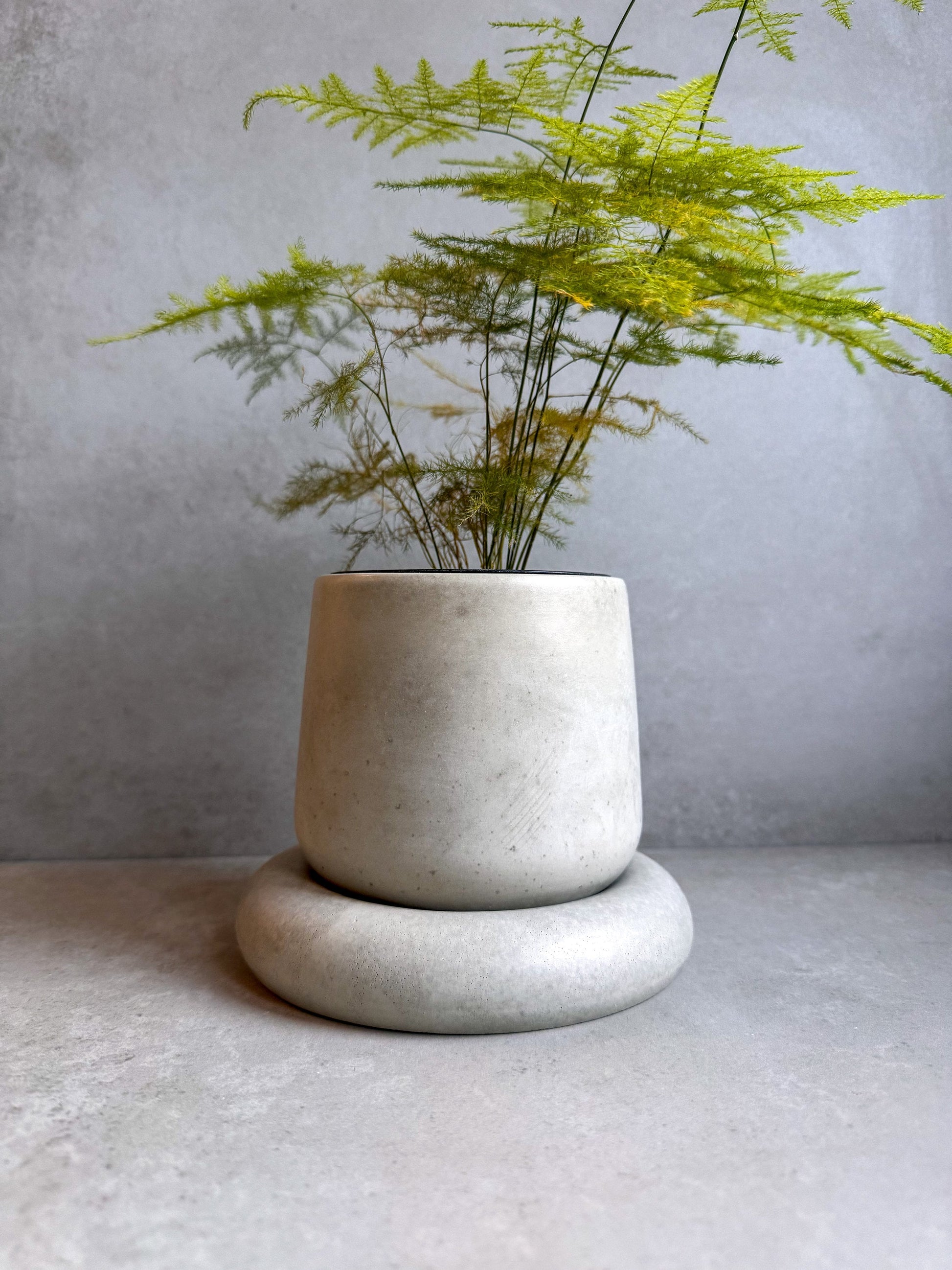 Concrete Planter with Saucer, Modern Plant Pot, Bubble Planter, Decorative Cement Pot, Minimalist Pot with Saucer, Nordic Pot, Chunky Pot