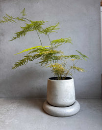 Bubble Pot - 4.8"