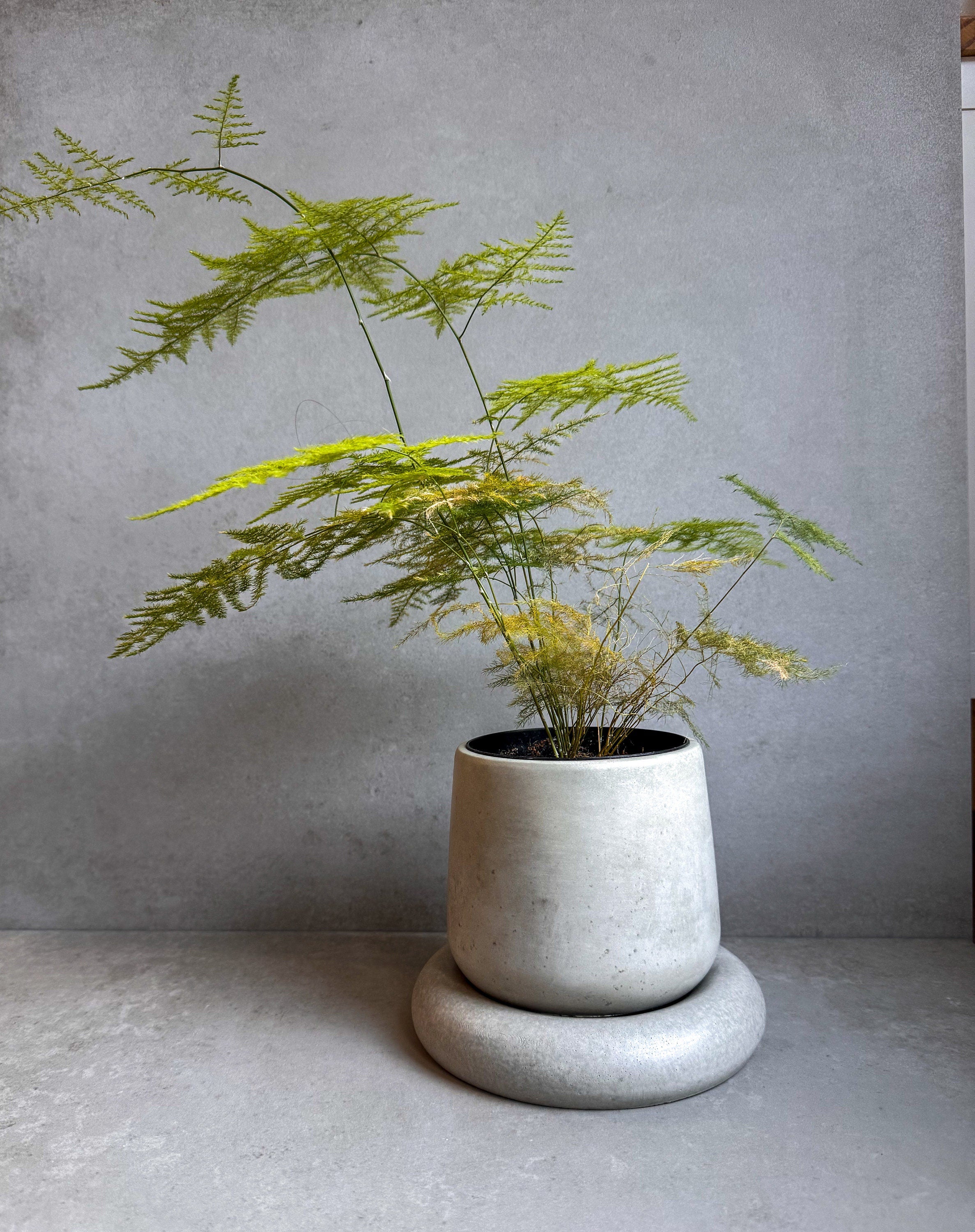 Bubble Pot - 4.8"