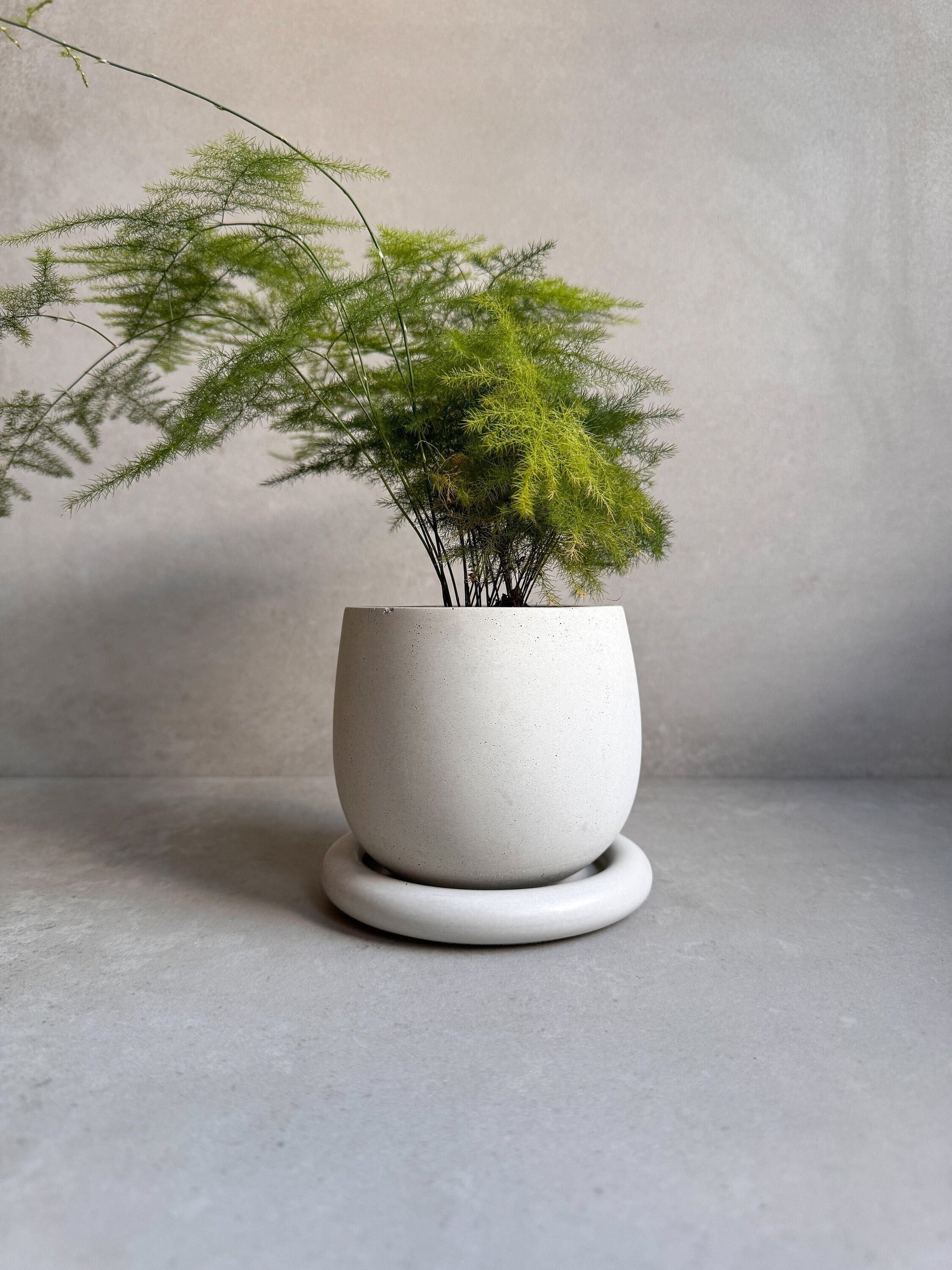 Concrete Planter with Drainage, Cute Plant Pot, Bubble Planter, Decorative Cement Pot, Minimalist Pot with Saucer, Nordic, Chunky Pot