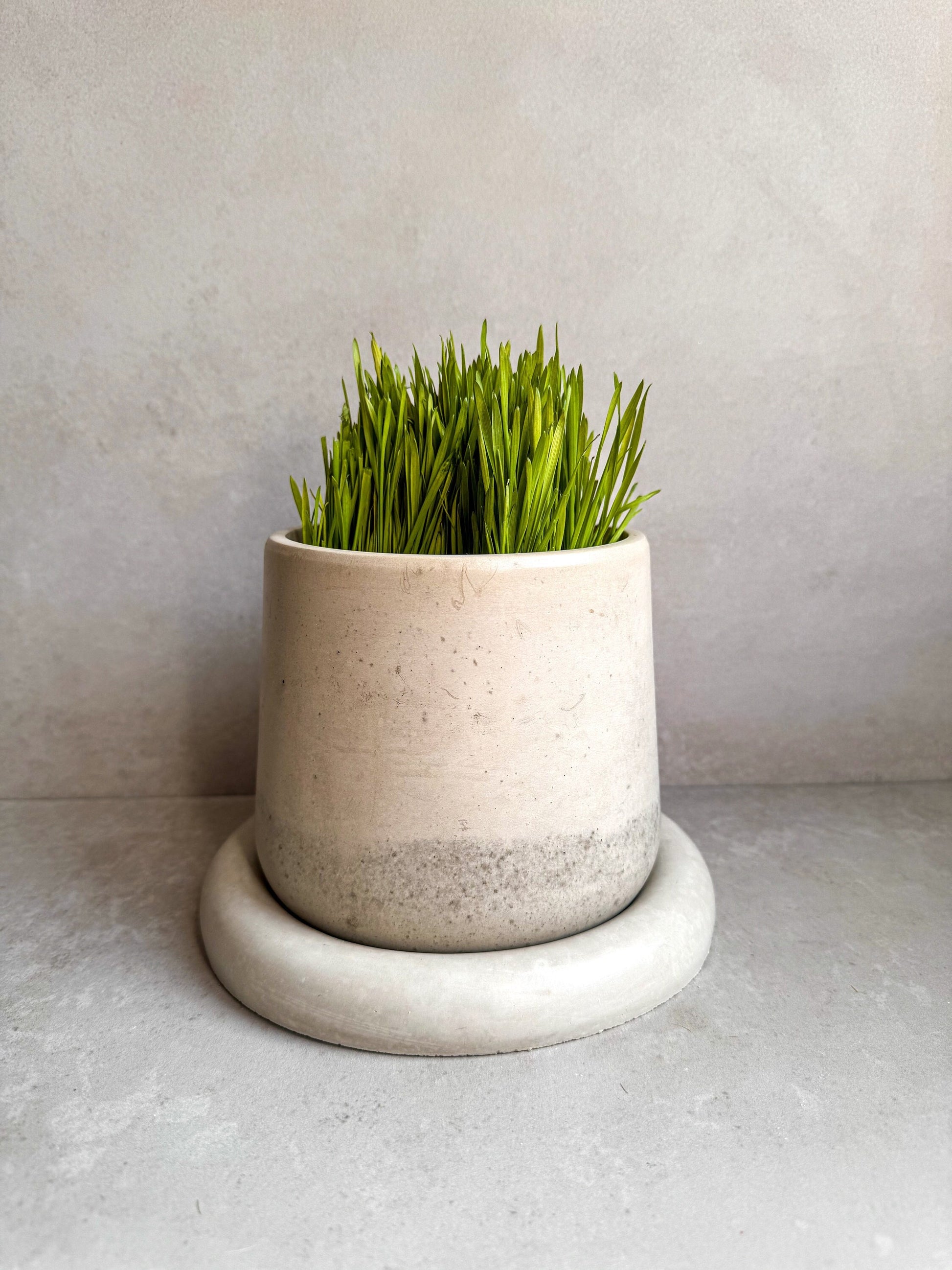 Concrete Planter with Saucer, Modern Plant Pot, Bubble Planter, Decorative Cement Pot, Minimalist Pot with Drainage, Nordic Pot, Chunky Pot