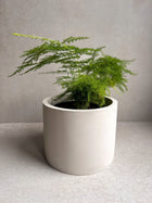 CONCRETE PLANTER with Drainage, Simple Plant Pot, Round Planter, Decorative Cement Pot, Minimalist, Nordic, Medium Planter, Japandi Decor