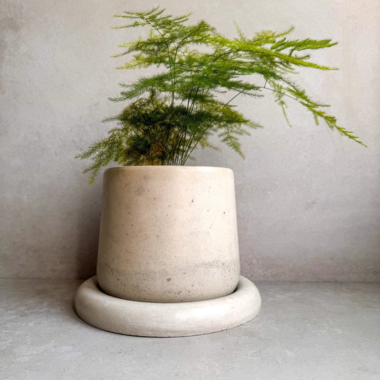 Concrete Planter with Saucer, Modern Plant Pot, Bubble Planter, Decorative Cement Pot, Minimalist Pot with Drainage, Nordic Pot, Chunky Pot