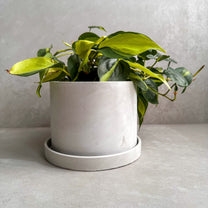 CONCRETE PLANTER with Drainage, Simple Plant Pot, Round Planter, Decorative Cement Pot, Minimalist, Nordic, Medium Planter, Japandi Decor