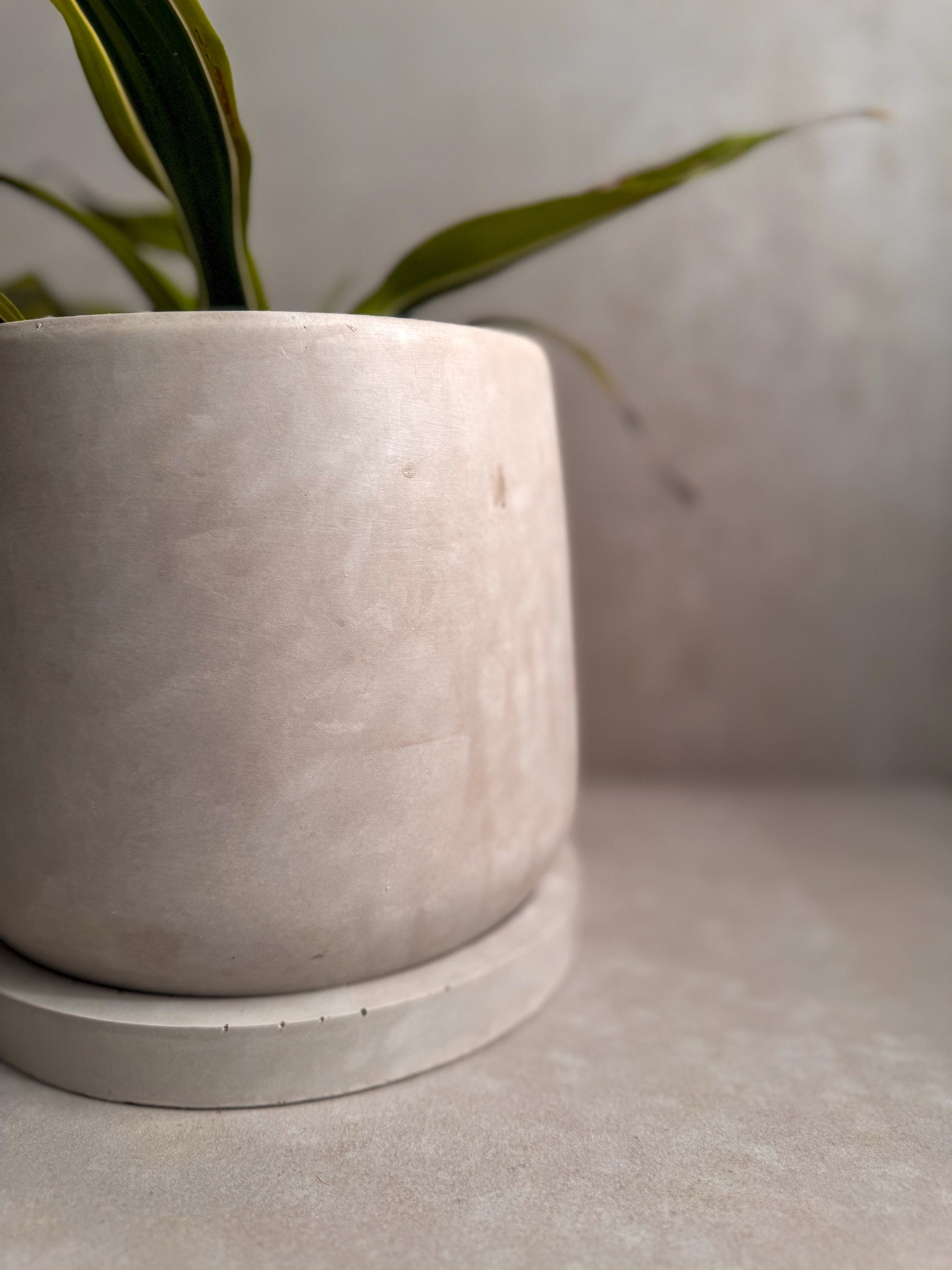 Concrete Planter with Saucer, Modern Plant Pot, Stone Planter, Decorative Cement Pot, Minimalist Pot with Drainage, Nordic Pot, 7” Round Pot