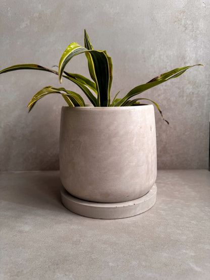 Concrete Planter with Saucer, Modern Plant Pot, Stone Planter, Decorative Cement Pot, Minimalist Pot with Drainage, Nordic Pot, 7” Round Pot