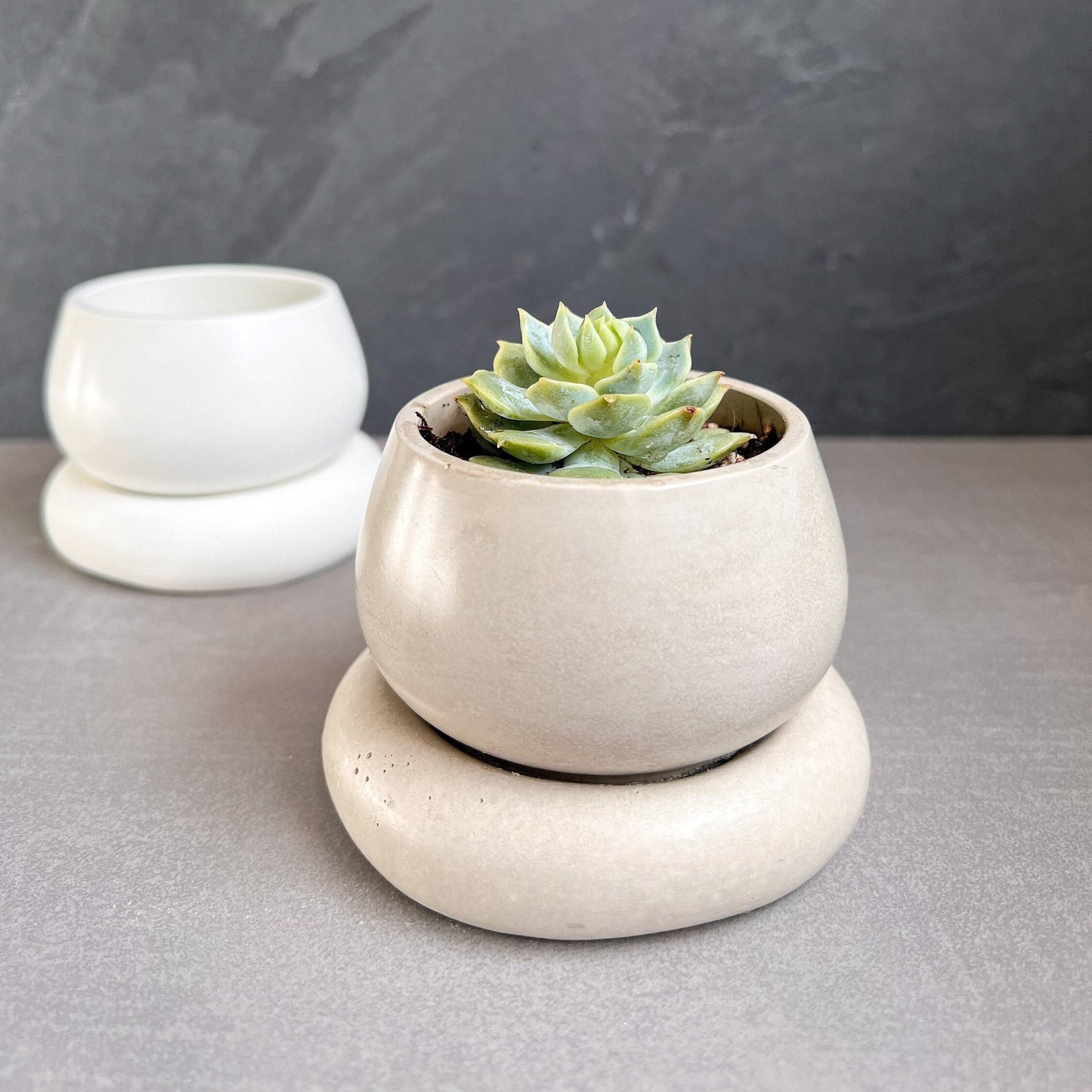 Small Concrete Planter with Drainage, Cute Plant Pot, Bubble Planter, Succulent Planter, Decorative Pot, Modern Pot, Nordic, Chubby Pot