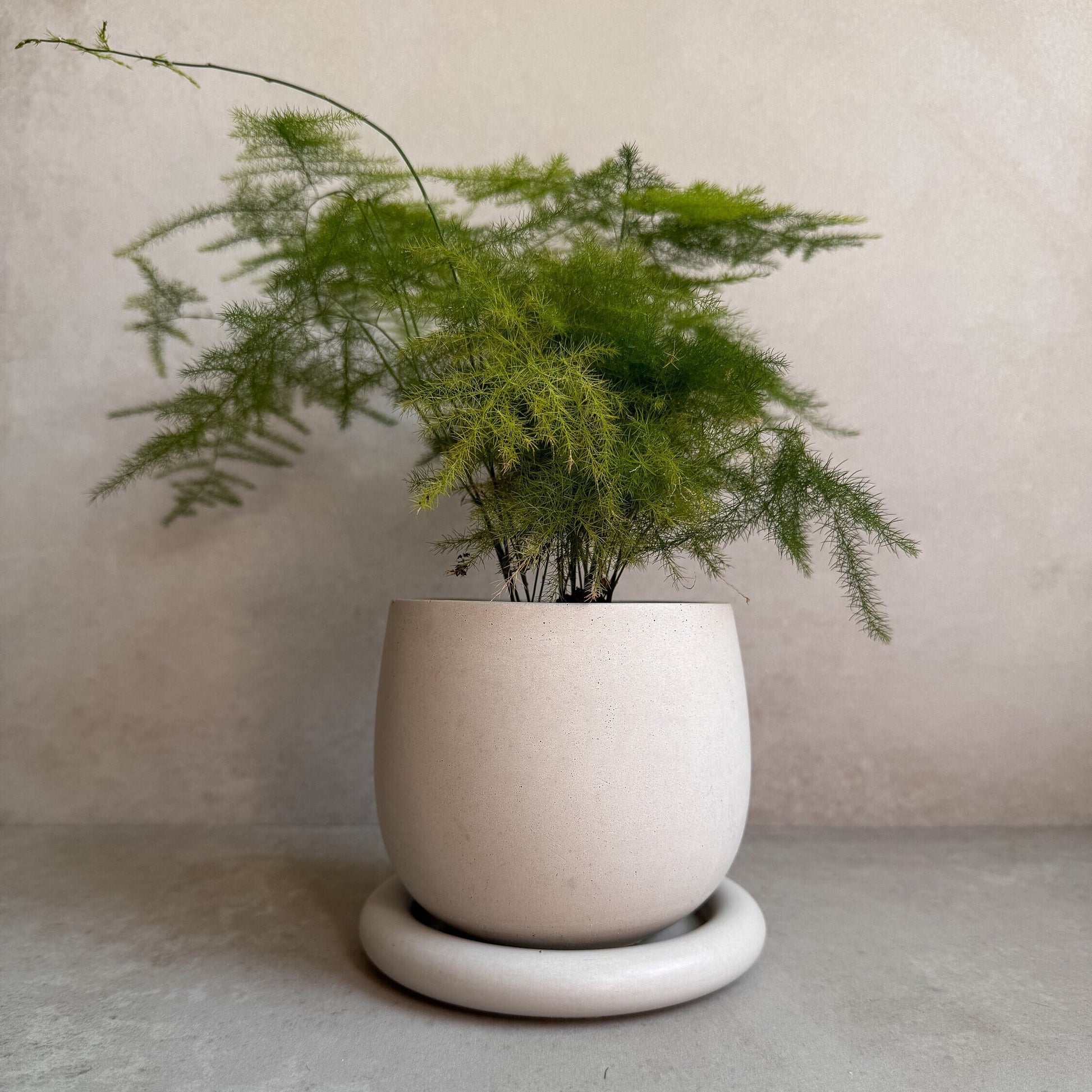 Concrete Planter with Drainage, Cute Plant Pot, Bubble Planter, Decorative Cement Pot, Minimalist Pot with Saucer, Nordic, Chunky Pot