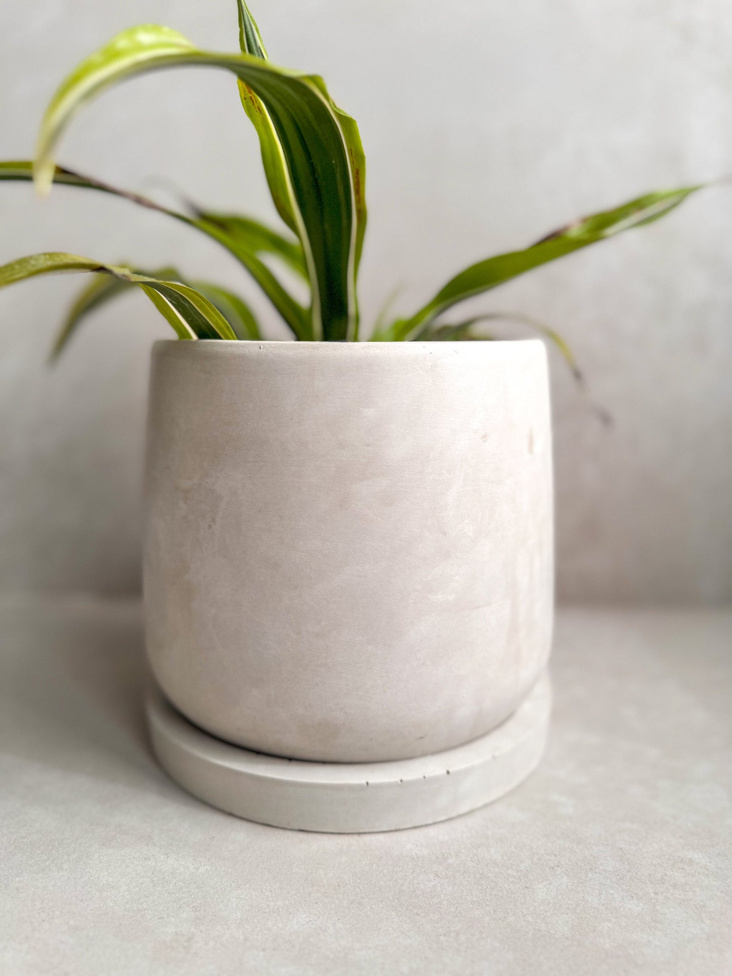 Concrete Planter with Saucer, Modern Plant Pot, Stone Planter, Decorative Cement Pot, Minimalist Pot with Drainage, Nordic Pot, 7” Round Pot