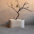 Oval Concrete Planter, Decorative Cement Pot, Trinket Trough, Minimalist Tray, Coffee Table Display, Oval Desk Container, Bathroom Storage