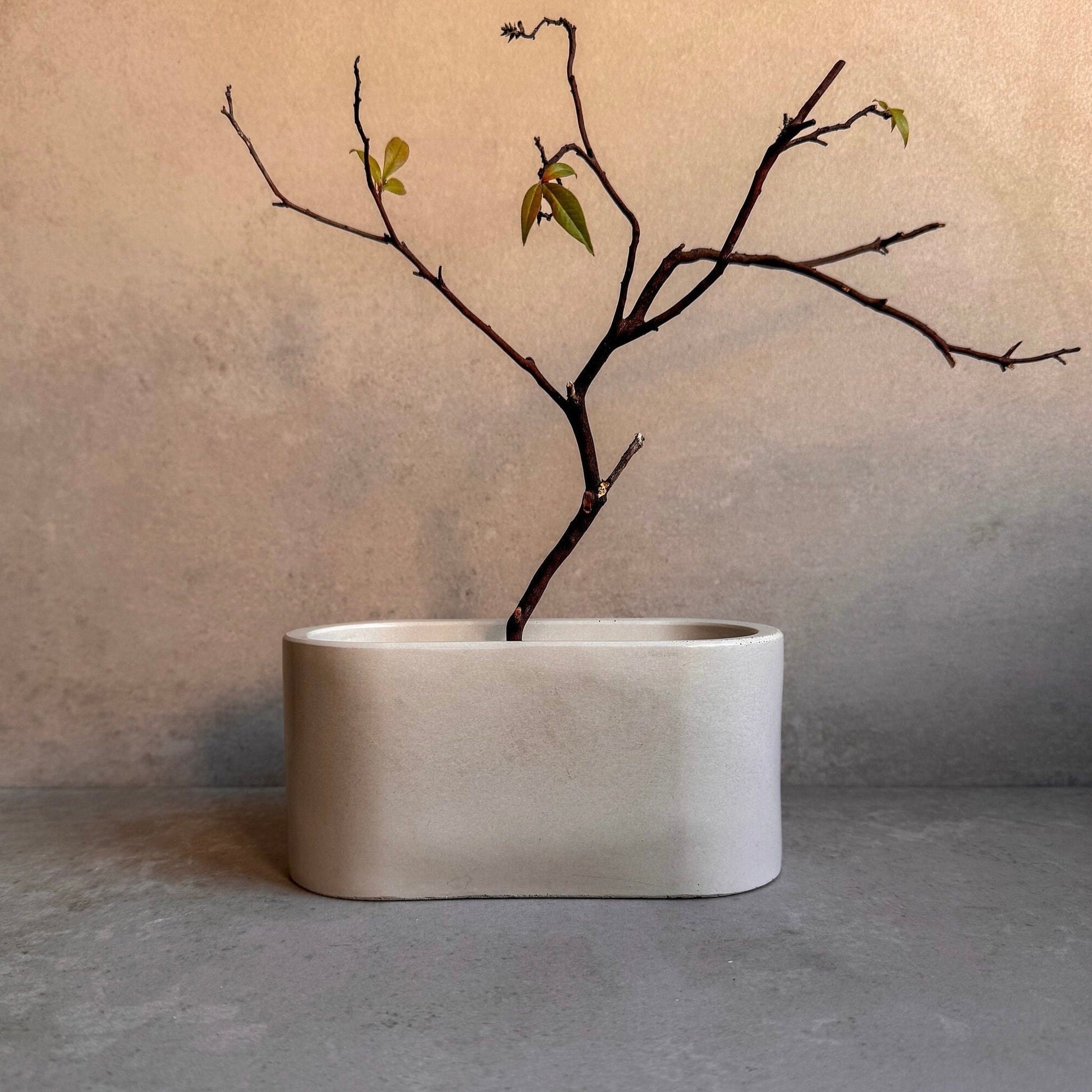 Oval Concrete Planter, Decorative Cement Pot, Trinket Trough, Minimalist Tray, Coffee Table Display, Oval Desk Container, Bathroom Storage