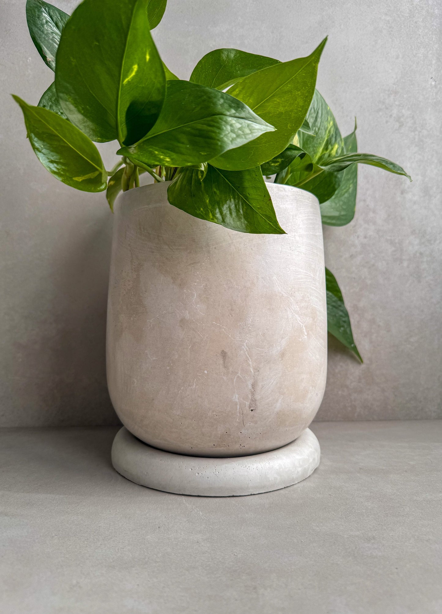 Concrete Planter with Saucer, Large Modern Plant Pot, Bubble Planter, Decorative Cement Pot, Minimalist Pot with Drainage, Tall Nordic Pot