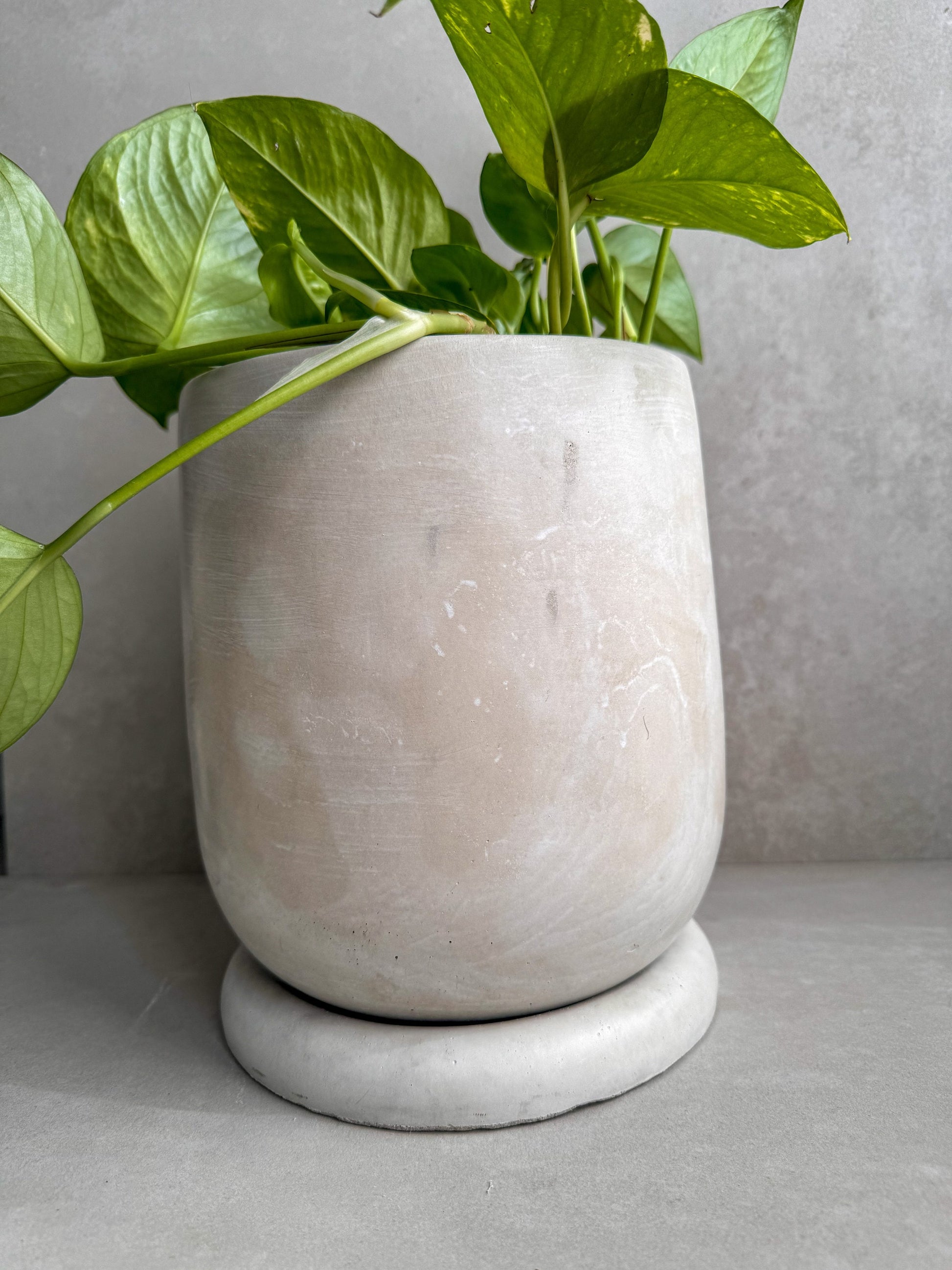 Concrete Planter with Saucer, Large Modern Plant Pot, Bubble Planter, Decorative Cement Pot, Minimalist Pot with Drainage, Tall Nordic Pot