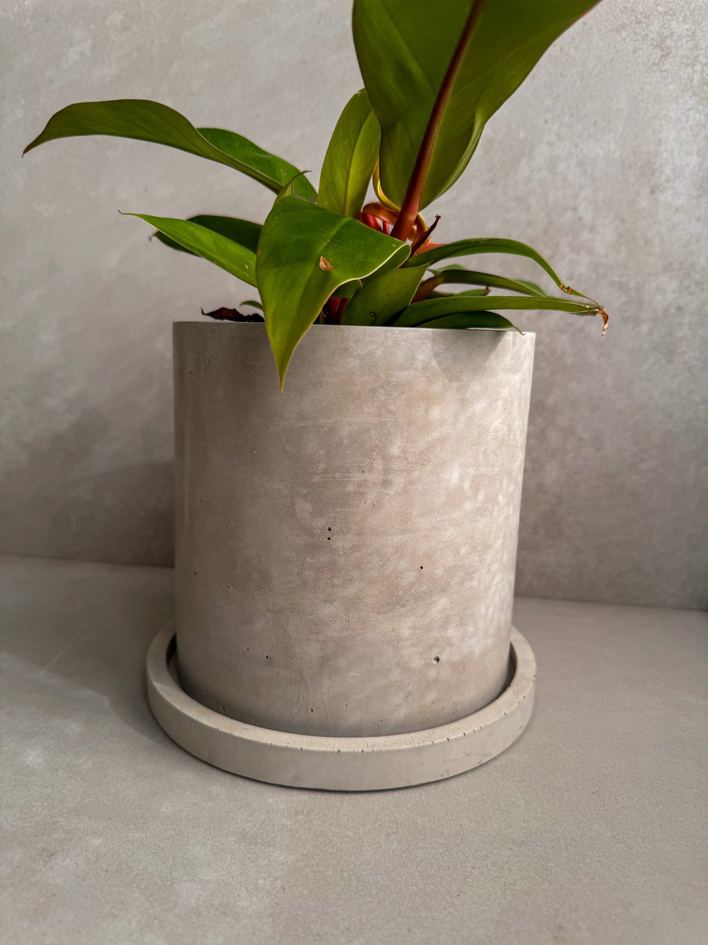 Concrete Planter with Saucer, Large Modern Plant Pot, Bubble Planter, Decorative Cement Pot, Minimalist Pot with Drainage, Tall Nordic Pot