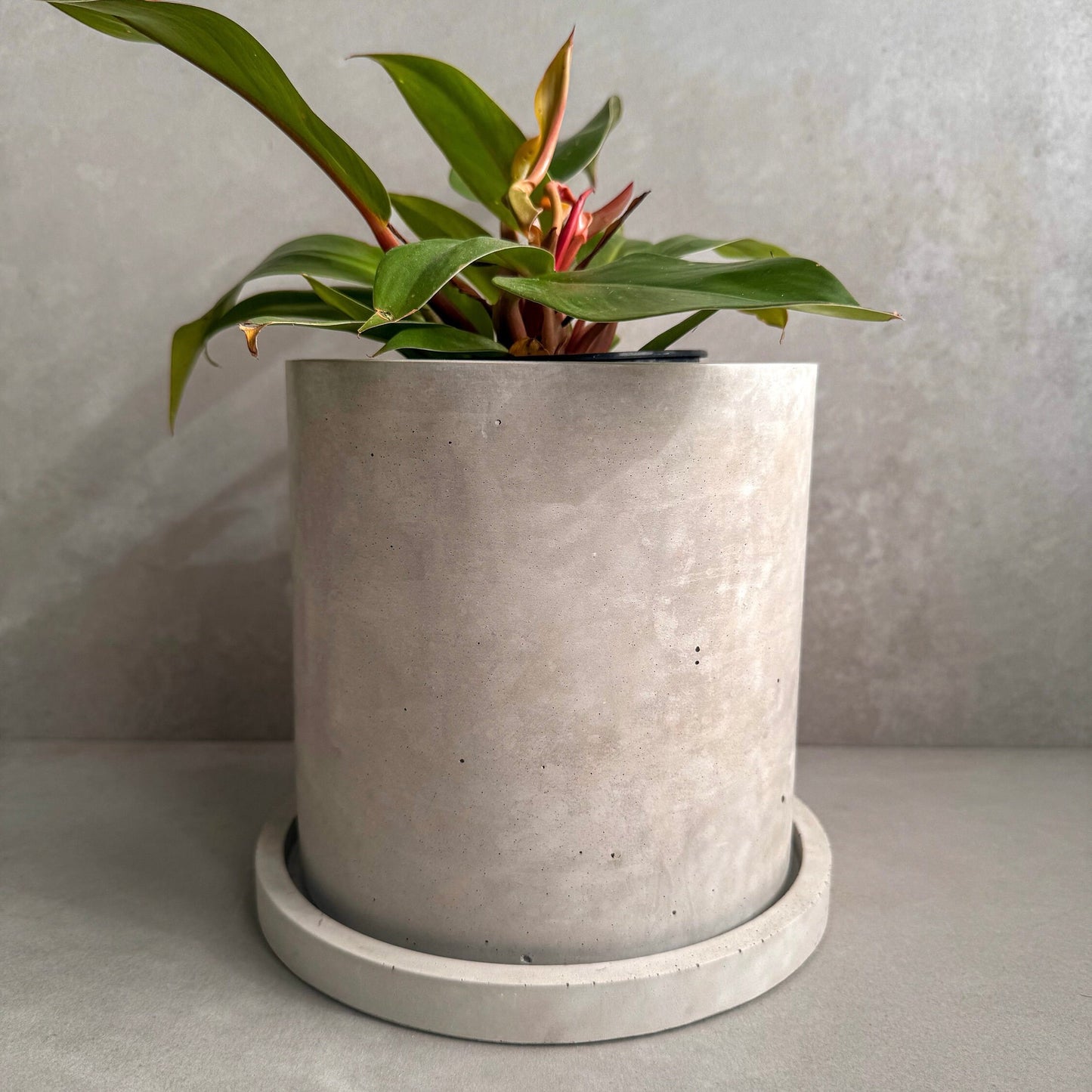 Concrete Planter with Saucer, Large Modern Plant Pot, Bubble Planter, Decorative Cement Pot, Minimalist Pot with Drainage, Tall Nordic Pot