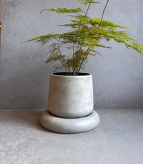 Bubble Pot - 4.8"