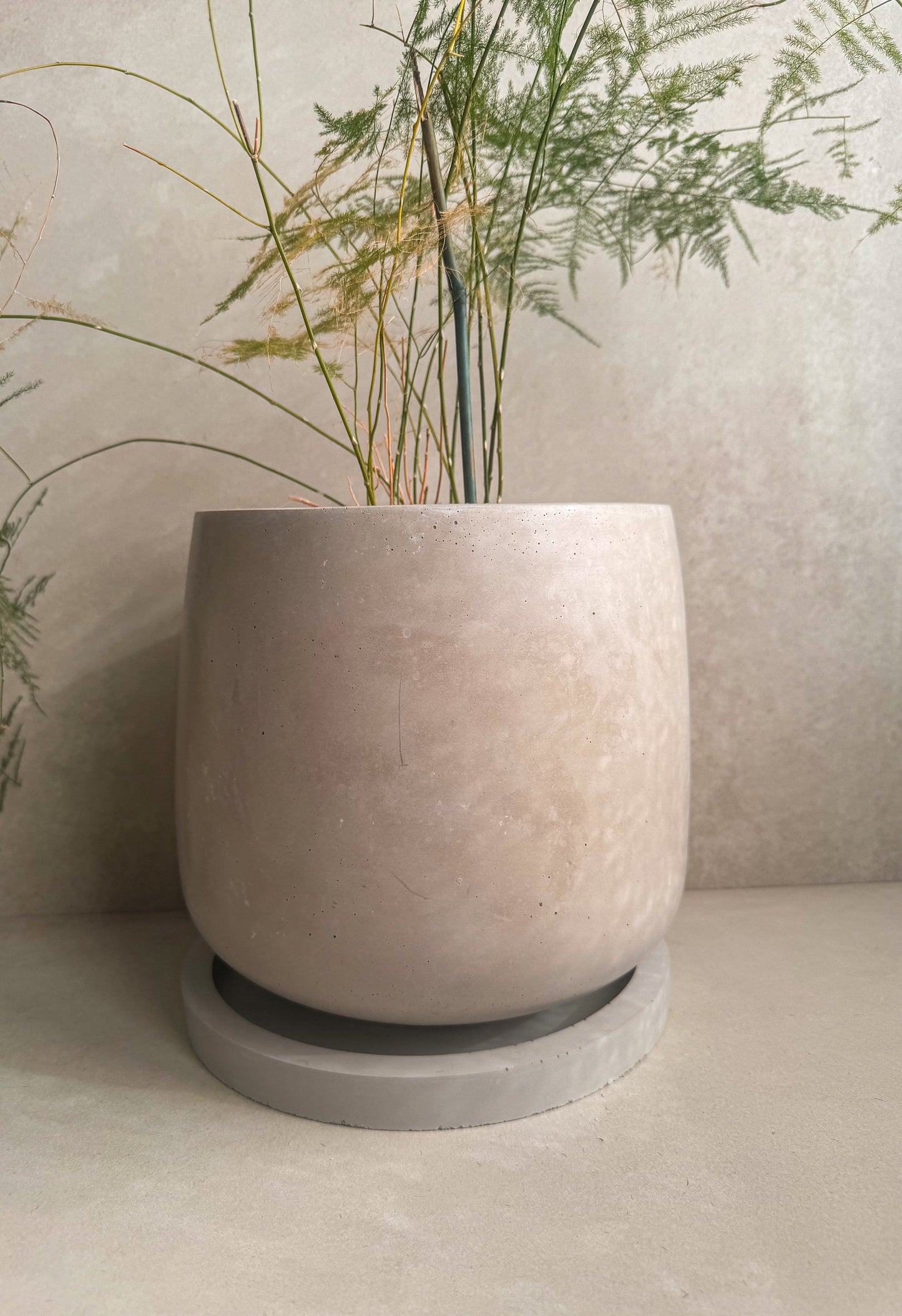 Concrete Planter with Saucer, Large Modern Plant Pot, Bubble Planter, Decorative Cement Pot, Minimalist Pot with Drainage, Tall Nordic Pot