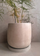 Concrete Planter with Saucer, Large Modern Plant Pot, Bubble Planter, Decorative Cement Pot, Minimalist Pot with Drainage, Tall Nordic Pot