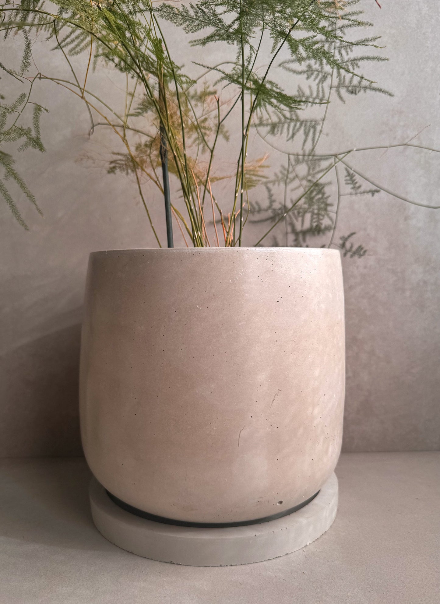 Concrete Planter with Saucer, Large Modern Plant Pot, Bubble Planter, Decorative Cement Pot, Minimalist Pot with Drainage, Tall Nordic Pot