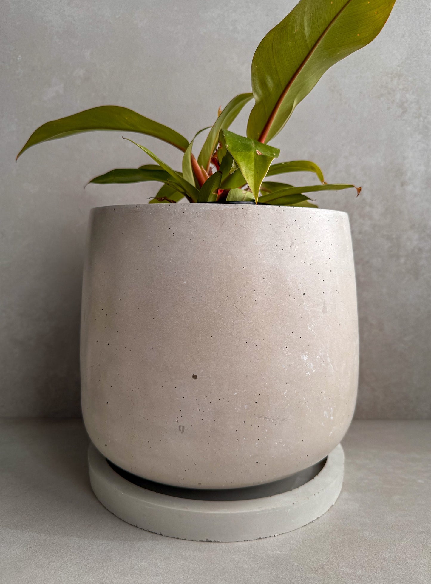 Concrete Planter with Saucer, Large Modern Plant Pot, Bubble Planter, Decorative Cement Pot, Minimalist Pot with Drainage, Tall Nordic Pot