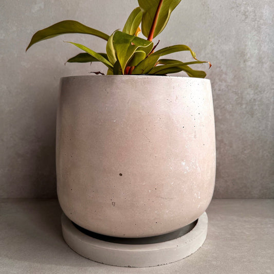 Concrete Planter with Saucer, Large Modern Plant Pot, Bubble Planter, Decorative Cement Pot, Minimalist Pot with Drainage, Tall Nordic Pot