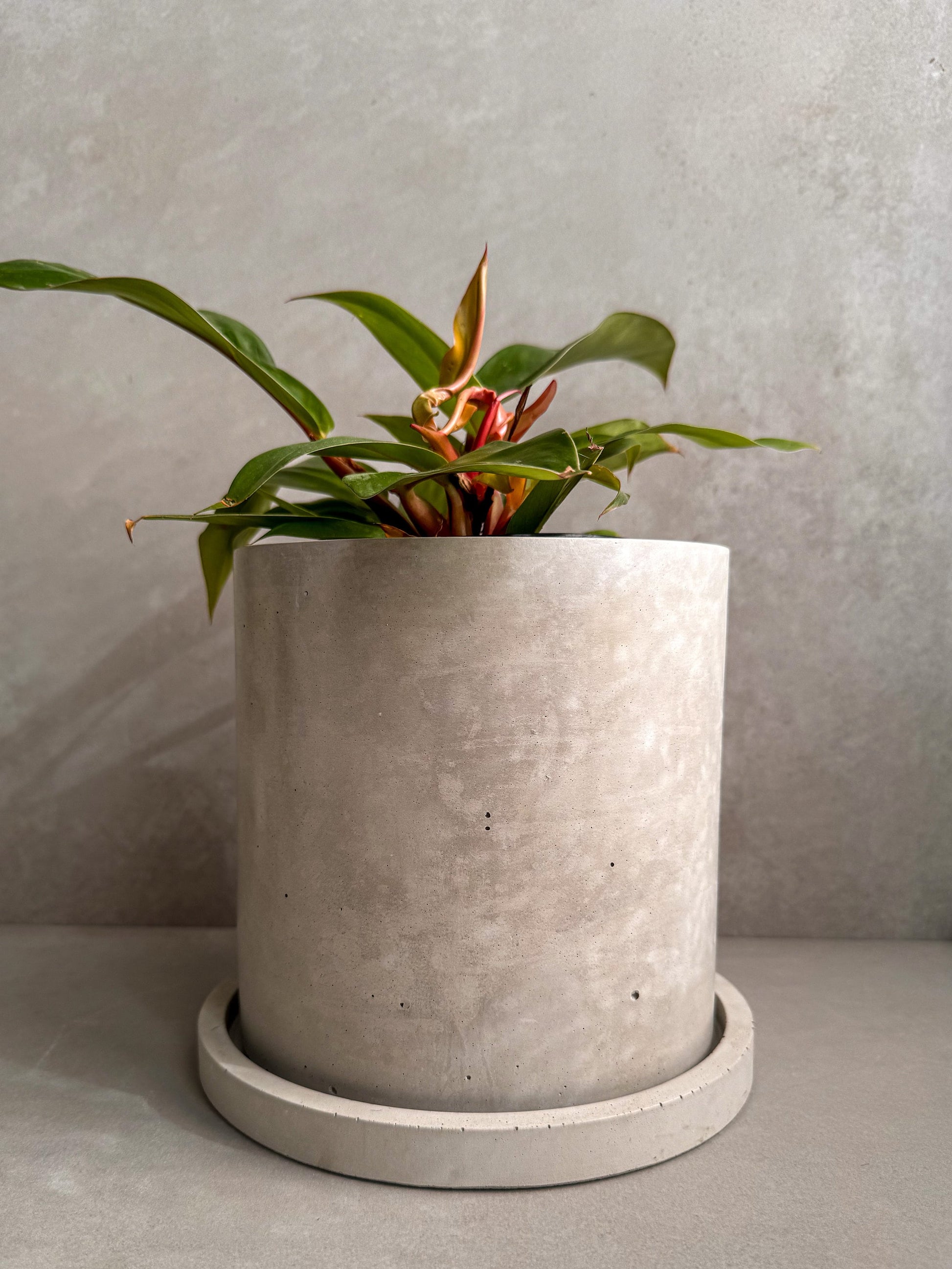 Concrete Planter with Saucer, Large Modern Plant Pot, Bubble Planter, Decorative Cement Pot, Minimalist Pot with Drainage, Tall Nordic Pot