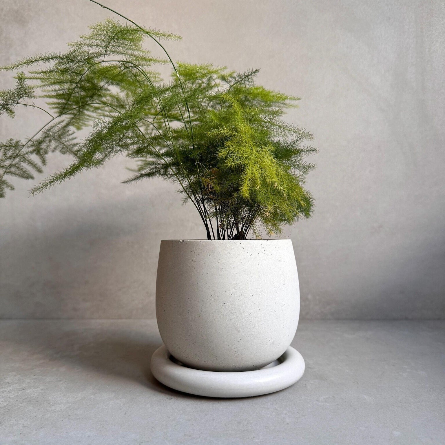 Concrete Planter with Drainage, Cute Plant Pot, Bubble Planter, Decorative Cement Pot, Minimalist Pot with Saucer, Nordic, Chunky Pot