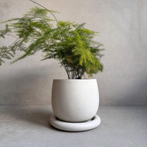 Concrete Planter with Drainage, Cute Plant Pot, Bubble Planter, Decorative Cement Pot, Minimalist Pot with Saucer, Nordic, Chunky Pot
