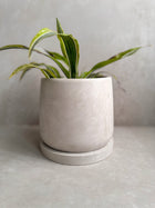 Concrete Planter with Saucer, Modern Plant Pot, Stone Planter, Decorative Cement Pot, Minimalist Pot with Drainage, Nordic Pot, 7” Round Pot