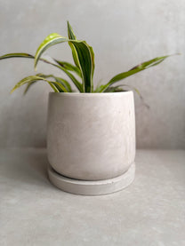 Concrete Planter with Saucer, Modern Plant Pot, Stone Planter, Decorative Cement Pot, Minimalist Pot with Drainage, Nordic Pot, 7” Round Pot