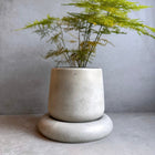 Bubble Pot - 4.8"
