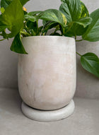 Concrete Planter with Saucer, Large Modern Plant Pot, Bubble Planter, Decorative Cement Pot, Minimalist Pot with Drainage, Tall Nordic Pot