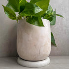 Concrete Planter with Saucer, Large Modern Plant Pot, Bubble Planter, Decorative Cement Pot, Minimalist Pot with Drainage, Tall Nordic Pot