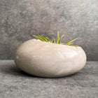 Concrete Minimalist Planter, Slanted Pot, Table Centerpiece, Asymmetrical Pot, Succulent Planter, Decorative Pot, Modern Pot, Nordic, Pebble