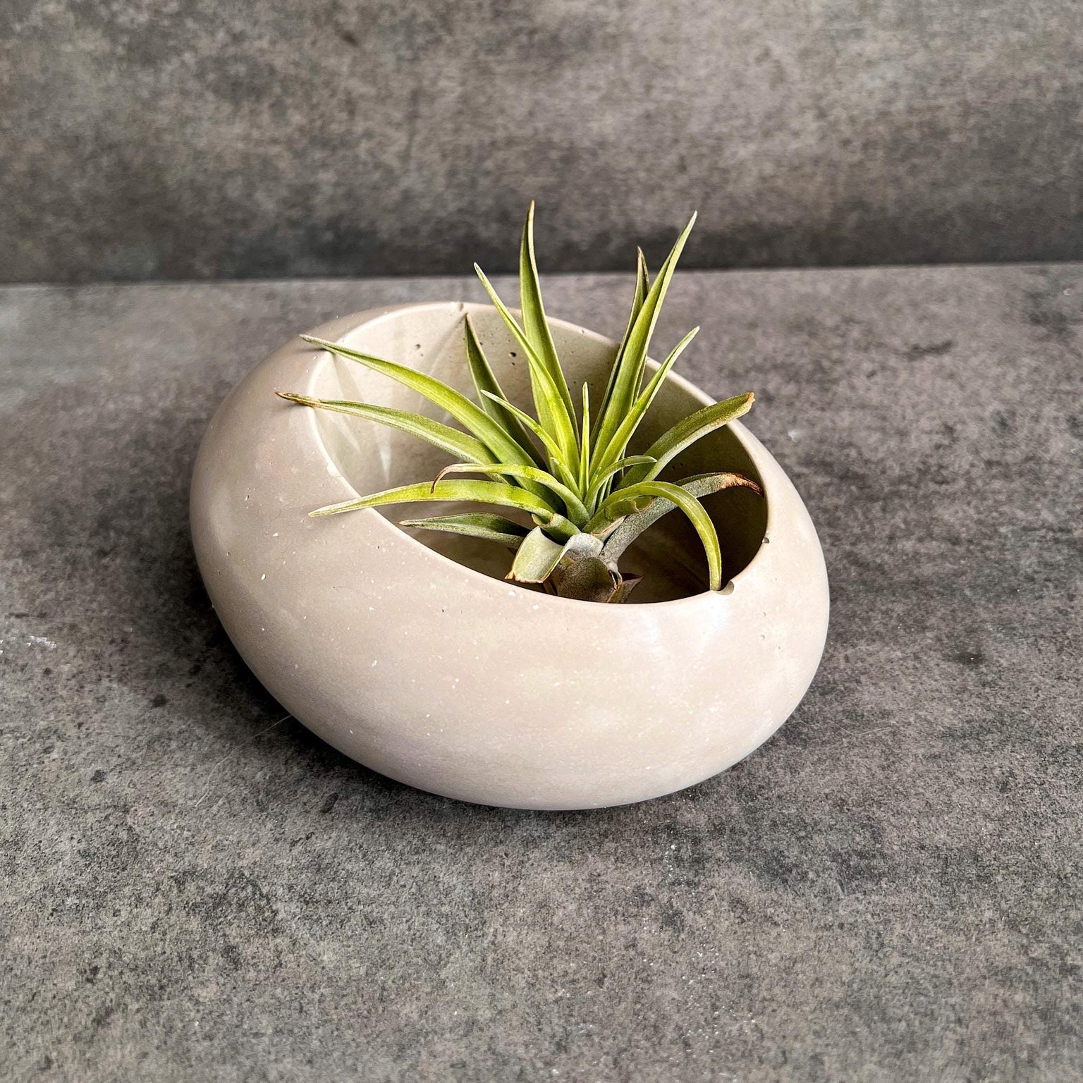 Concrete Minimalist Planter, Slanted Pot, Table Centerpiece, Asymmetrical Pot, Succulent Planter, Decorative Pot, Modern Pot, Nordic, Pebble