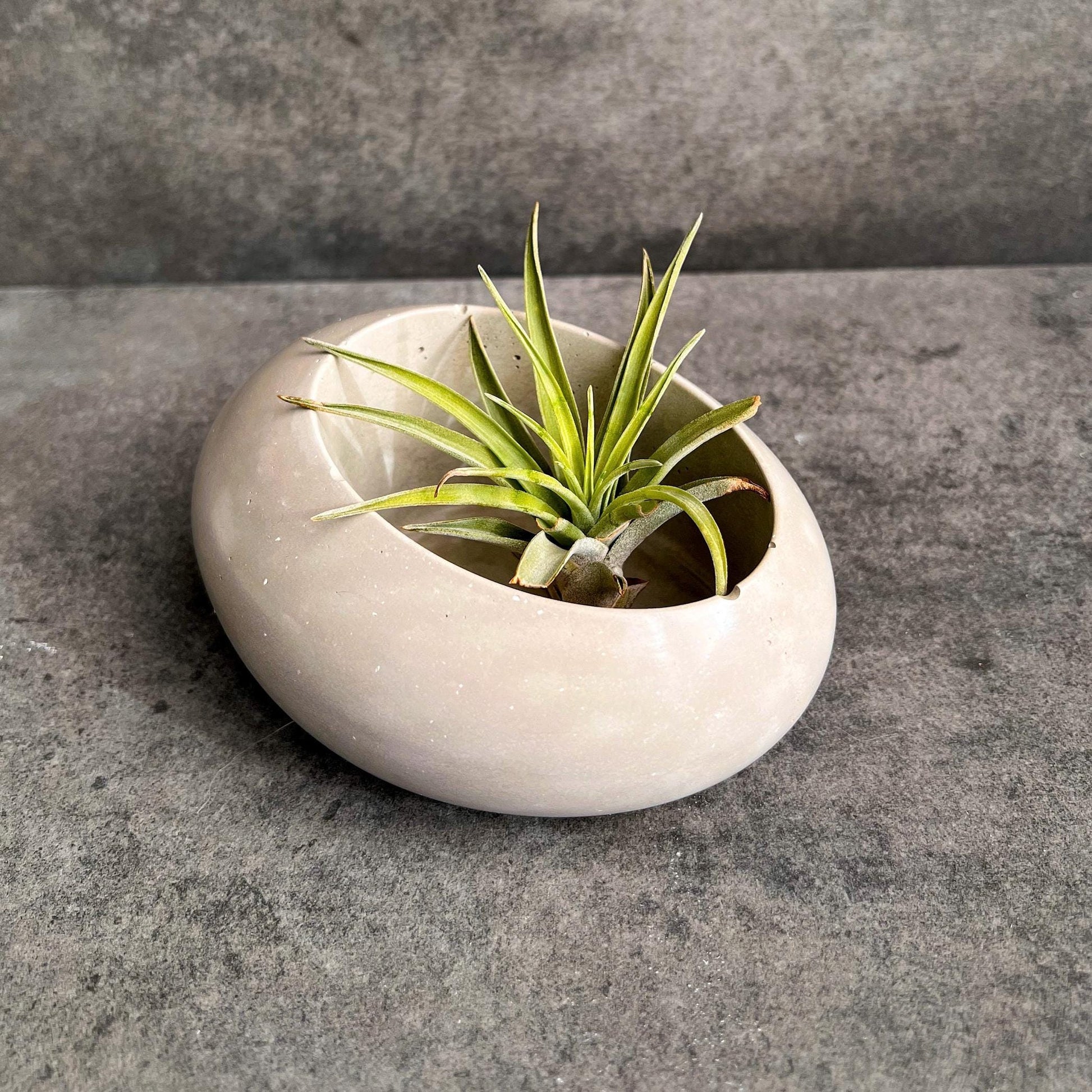Concrete Minimalist Planter, Slanted Pot, Table Centerpiece, Asymmetrical Pot, Succulent Planter, Decorative Pot, Modern Pot, Nordic, Pebble