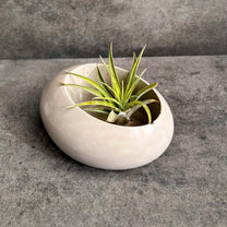 Concrete Minimalist Planter, Slanted Pot, Table Centerpiece, Asymmetrical Pot, Succulent Planter, Decorative Pot, Modern Pot, Nordic, Pebble