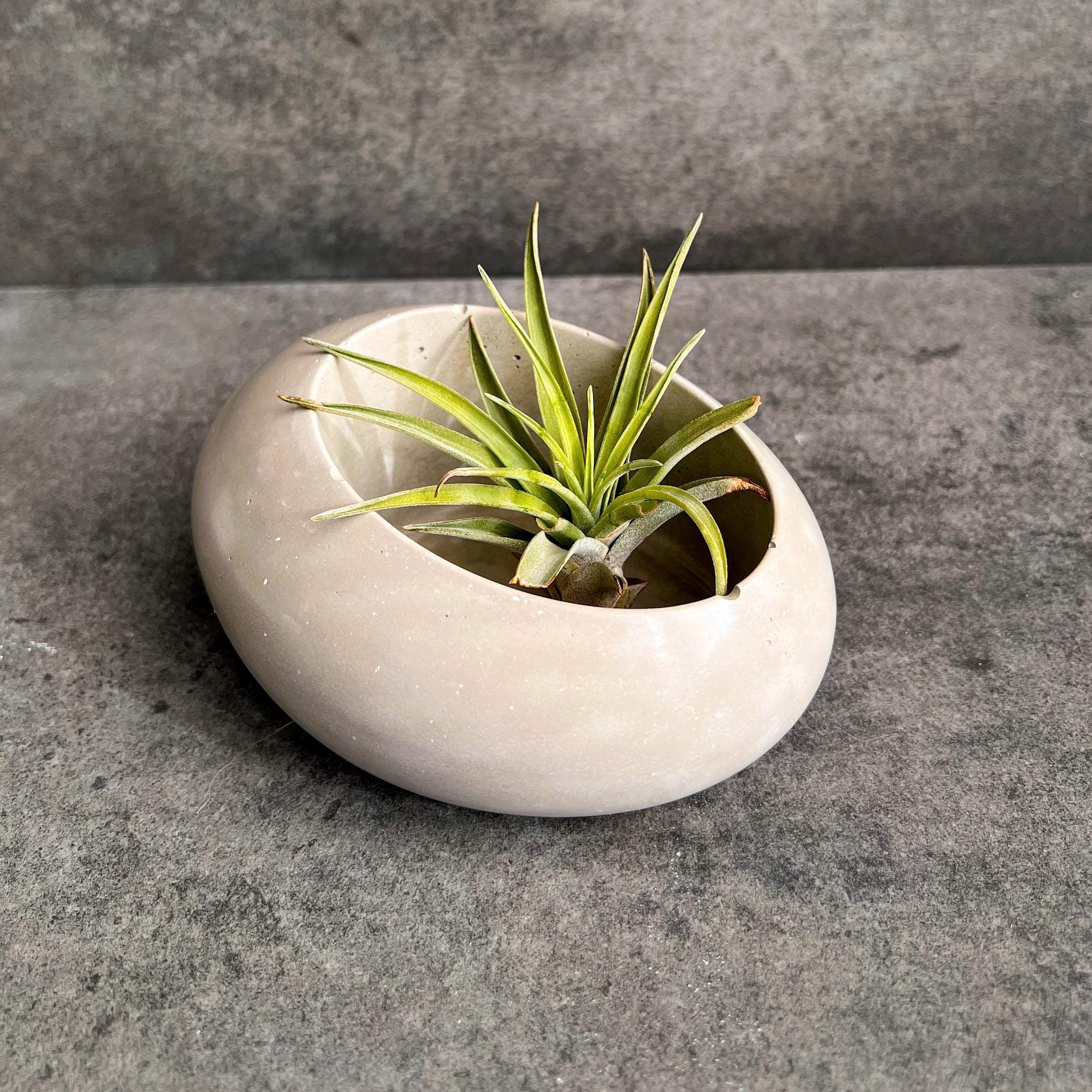 Concrete Minimalist Planter, Slanted Pot, Table Centerpiece, Asymmetrical Pot, Succulent Planter, Decorative Pot, Modern Pot, Nordic, Pebble