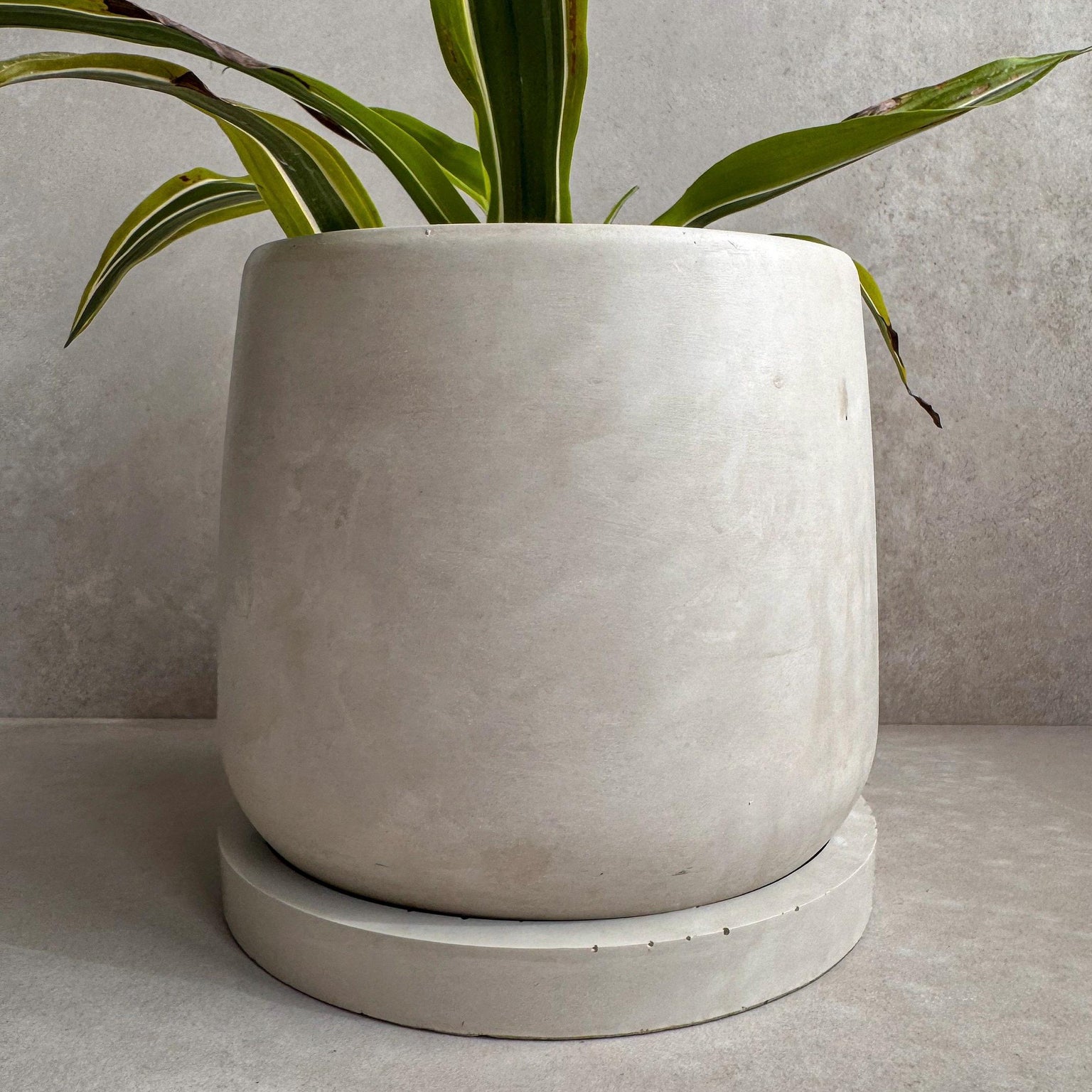 Concrete Planter with Saucer, Modern Plant Pot, Stone Planter, Decorative Cement Pot, Minimalist Pot with Drainage, Nordic Pot, 7” Round Pot