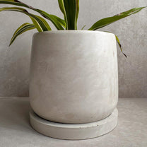 Concrete Planter with Saucer, Modern Plant Pot, Stone Planter, Decorative Cement Pot, Minimalist Pot with Drainage, Nordic Pot, 7” Round Pot