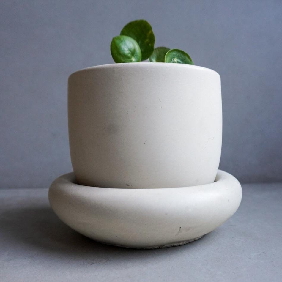 Concrete Planter with Saucer | Minimalist Plant Pot, Bubble Planter, Thick Saucer, Japandi Houseplant Decor, Neutral Home, Organic Shape